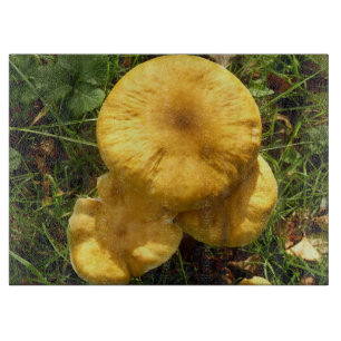 Planche À Découper Hachoir en verre de champignon de champignon de