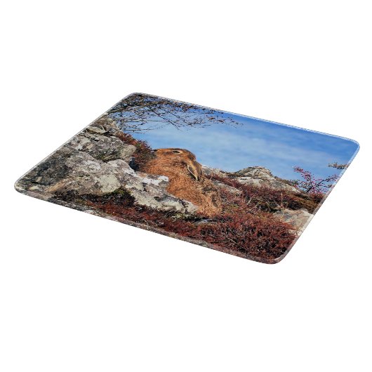 PLANCHE À DÉCOUPER HARE (Coin)