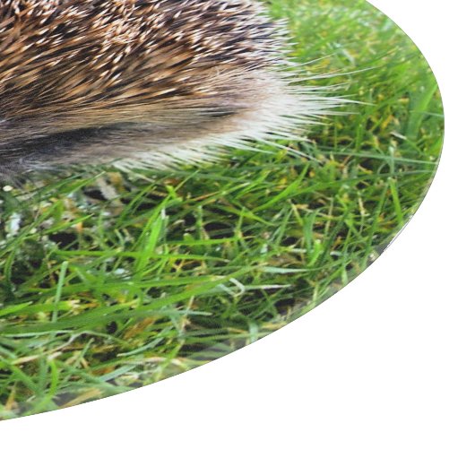 PLANCHE À DÉCOUPER HÉDGEHOG (Coin)