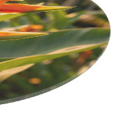 Planche À Découper Heliconia Orange Tropical Fleur Heure Dorée  (Coin)