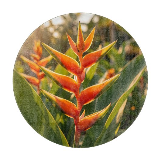 Planche À Découper Heliconia Orange Tropical Fleur Heure Dorée  (Devant)