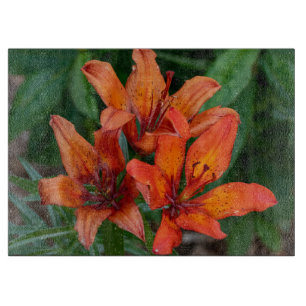 Planche À Découper Hémérocalle Orange Fleur Canadienne Photographie