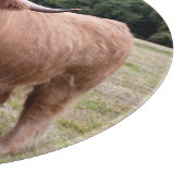 Planche à découper Highland Cow (Coin)