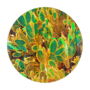 Planche À Découper Hot Africa Desert Cactus Plantes Prickly Pear