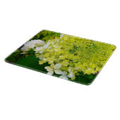 Planche À Découper Hydrangea Limelight Vert Chartreuse Élégant (Coin)