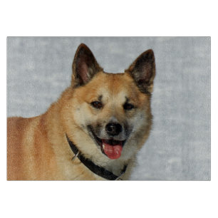 Planche À Découper IcelandicSheepdog20150904