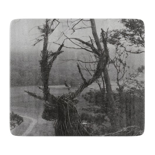 Planche À Découper Île de Mull, Hébrides intérieures, Écosse (Devant)