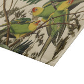 Planche À Découper Illustration Audubon Carolina Parrot Bird (Coin)