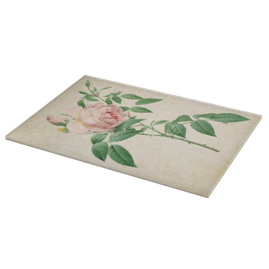 Planche À Découper Illustration botanique de Rosa indica (Coin)