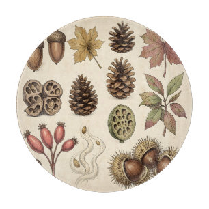 Planche À Découper Illustration botanique vintage d'automne : glands,