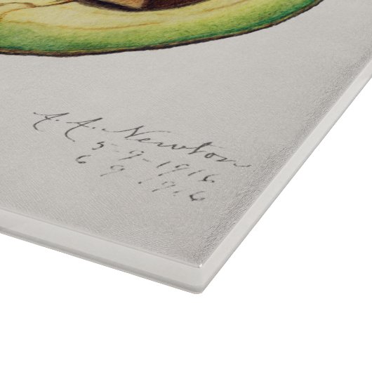 Planche À Découper Illustration d'Avocado (Coin)