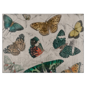 Planche À Découper Illustration de papillon antique : 1820 Orfèvre