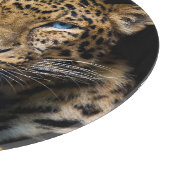 Planche À Découper Illustration du zoo léopard de Chine du Nord (Coin)