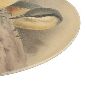 Planche À Découper Illustration vintage de Nuthatch (Coin)