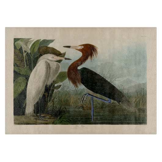 Planche À Découper Impression de Héron Pourpré d'Audubon : Art d'Oise (Devant)
