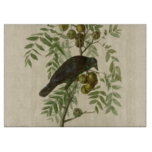 Planche À Découper Impression d'oiseau Grackle violet d'Audubon Botan (Devant)