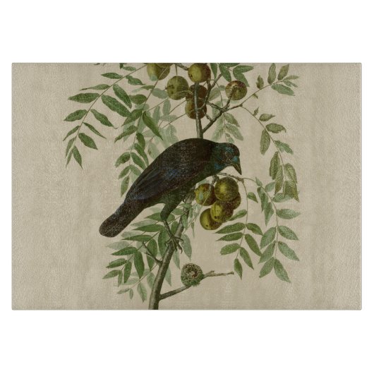 Planche À Découper Impression d'oiseau Grackle Violet d'Audubon Botan (Devant)