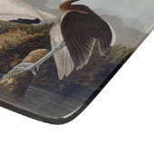 Planche À Découper Impression d'oiseau Ibis blanc de John James Audub (Coin)
