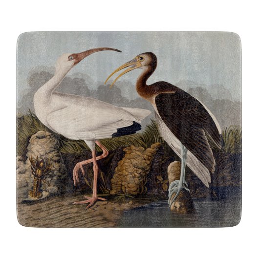 Planche À Découper Impression d'oiseau Ibis blanc de John James Audub (Devant)