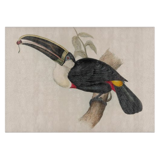 Planche À Découper Impression du Toucan de Cuvier : Oiseau Tropical V (Devant)
