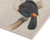 Planche À Découper Impression du Toucan de Cuvier : Oiseau Tropical V (Coin)