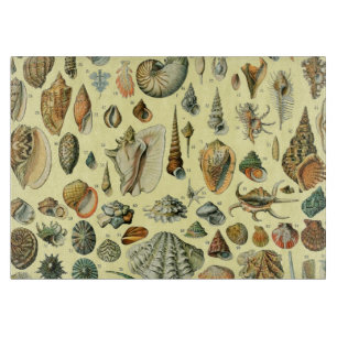 Planche À Découper Impression vintage de coquillages d'Adolphe Millot