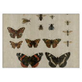 Planche À Découper Insectes de jardin par Vision Studio (Devant)