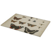 Planche À Découper Insectes de jardin par Vision Studio (Coin)