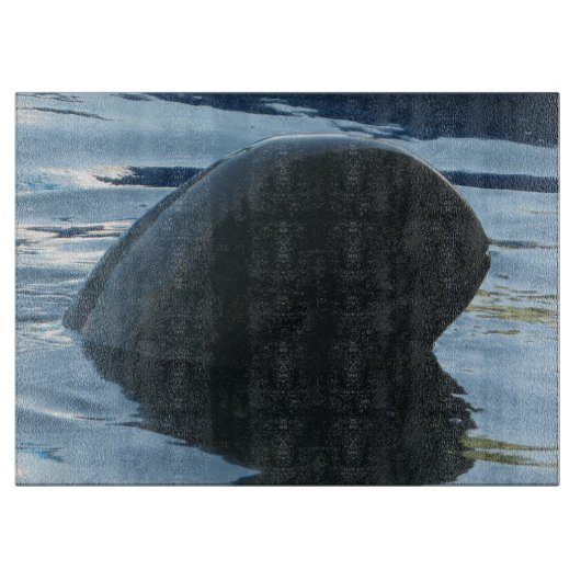 Planche À Découper Irrawaddy Dolphin Peek-A-Boo (Devant)