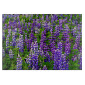 Planche À Découper Islande. Vik i Myrdal. Champ de Lupines (Devant)