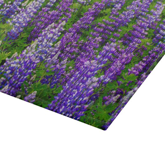 Planche À Découper Islande. Vik i Myrdal. Champ de Lupines (Coin)