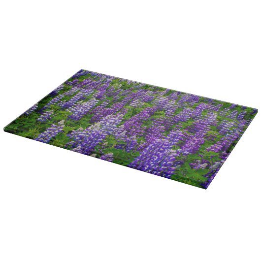 Planche À Découper Islande. Vik i Myrdal. Champ de Lupines (Coin)