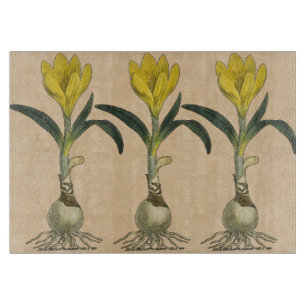 Planche À Découper Jardin botanique de tulipe Amaryllis Fleur