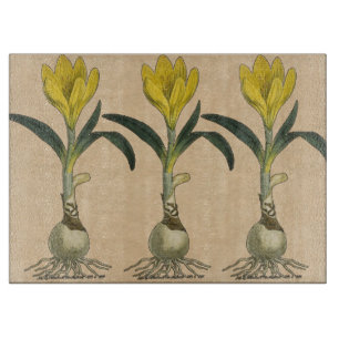 Planche À Découper Jardin botanique de tulipe Amaryllis Fleur