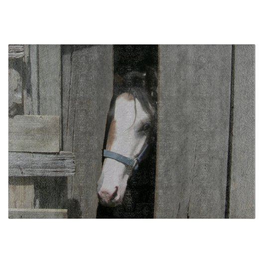 Planche À Découper Jeter un coup d'oeil le cheval (Devant)