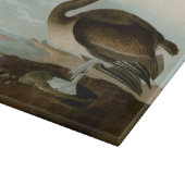 Planche À Découper John James Audubon Peinture Pélicane Brown (Coin)
