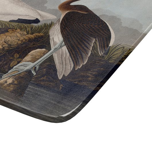 Planche À Découper John James Audubon White Ibis Bird Print Classic (Coin)