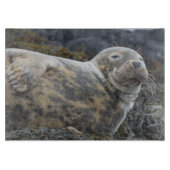 Planche À Découper Joint (Devant)