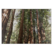 Planche À Découper Jusqu'à Redwoods II au monument national de Muir W (Devant)