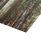Planche À Découper Jusqu'à Redwoods II au monument national de Muir W (Coin)