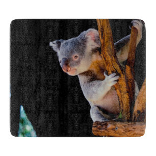 Planche À Découper Koala Cute en gris des arbres