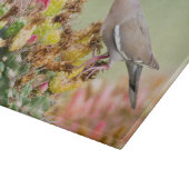 Planche À Découper La colombe sur un cactus (Coin)