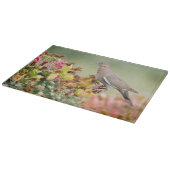 Planche À Découper La colombe sur un cactus (Coin)