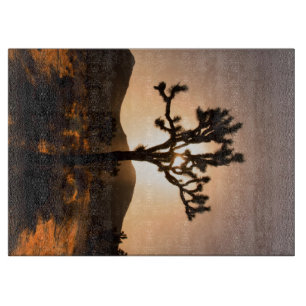 Planche À Découper La tombée de la nuit commence à Joshua Tree