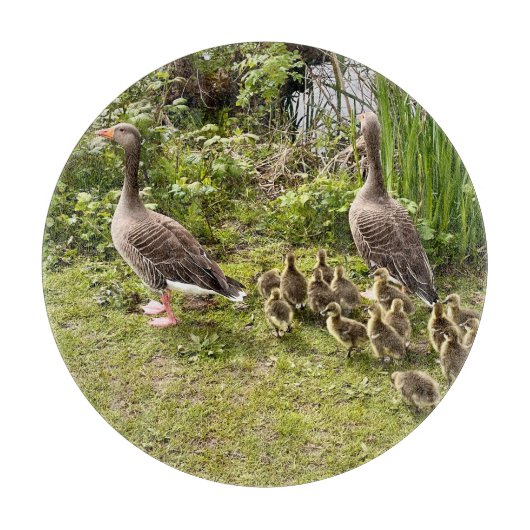 Planche À Découper La vie de canard. (Devant)