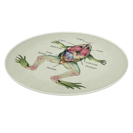 Planche À Découper L'anatomie de la grenouille (Coin)