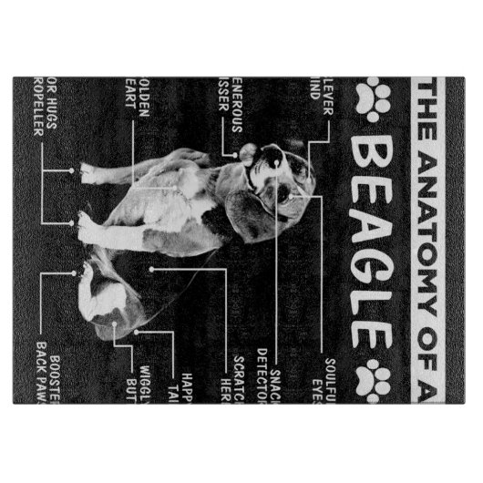 Planche À Découper L'Anatomie D'Un Chien Beagle (Devant)
