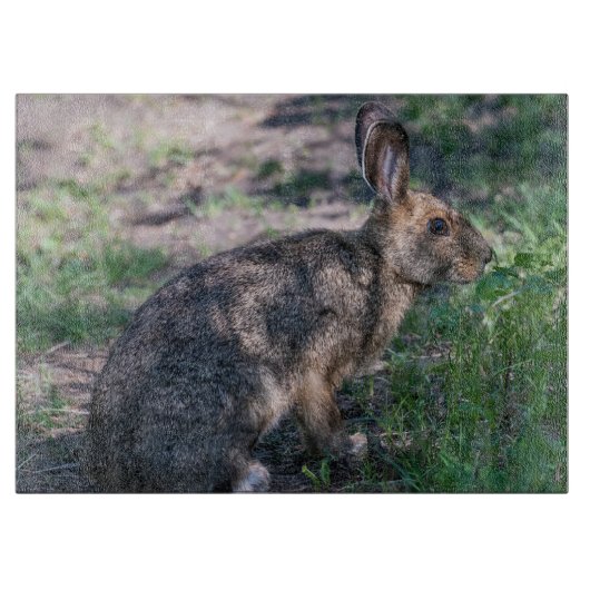 Planche À Découper Lapin Brown, Repos dans la nature (Devant)