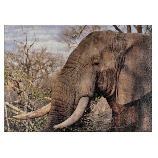 Planche À Découper L'Art des Amateurs d'éléphants (Devant)