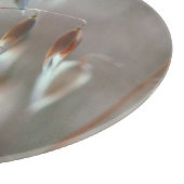 Planche À Découper L'avoine mûre (Avena Sativa) Ferme. Ceres, Boland (Coin)